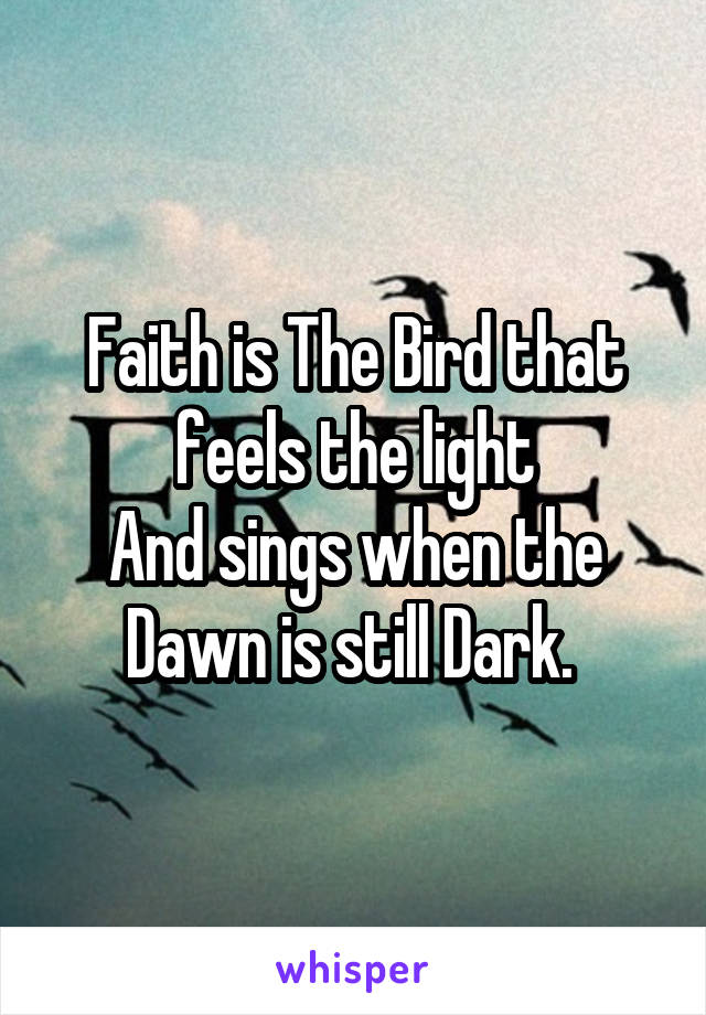 Faith is The Bird that feels the light
And sings when the Dawn is still Dark. 