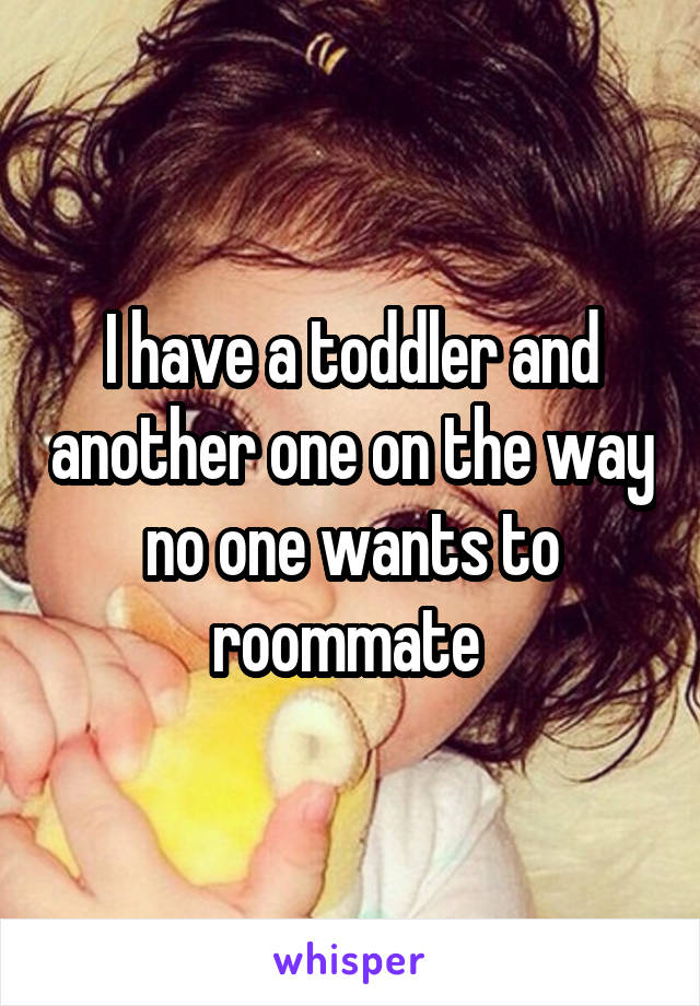 I have a toddler and another one on the way no one wants to roommate 