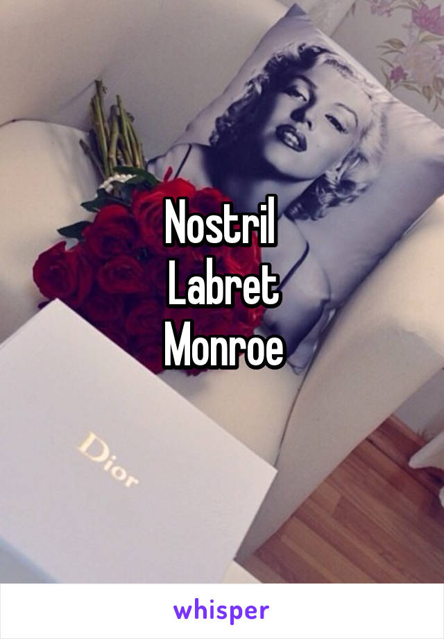 Nostril 
Labret
Monroe
