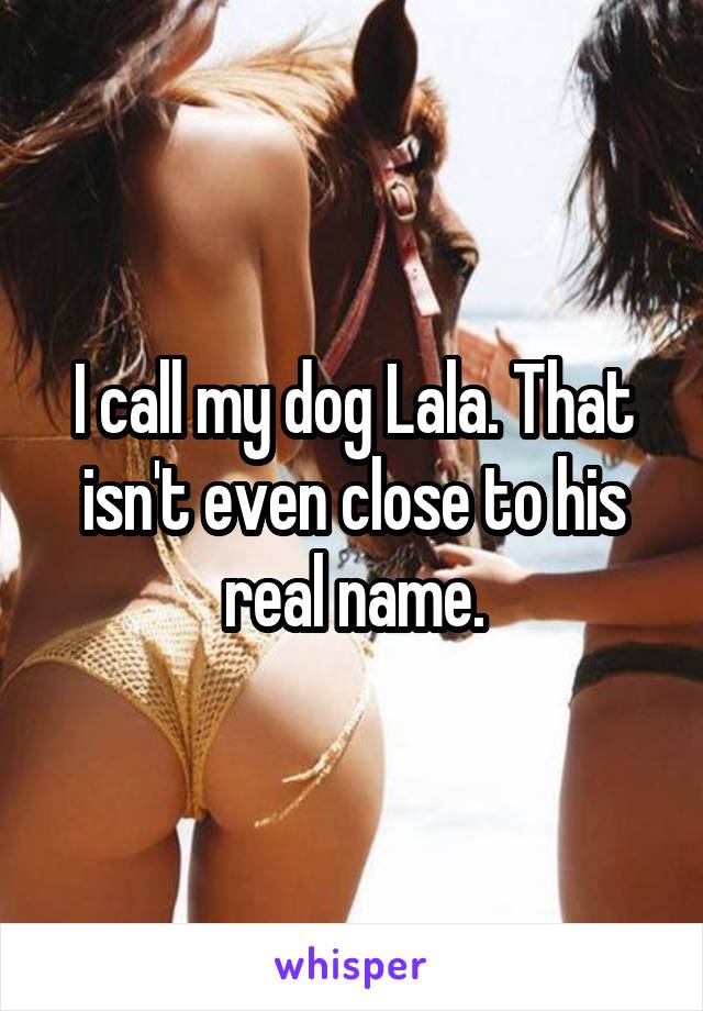 I call my dog Lala. That isn't even close to his real name.