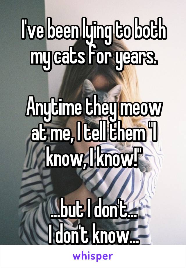 I've been lying to both my cats for years.

Anytime they meow at me, I tell them "I know, I know!"

...but I don't...
I don't know...