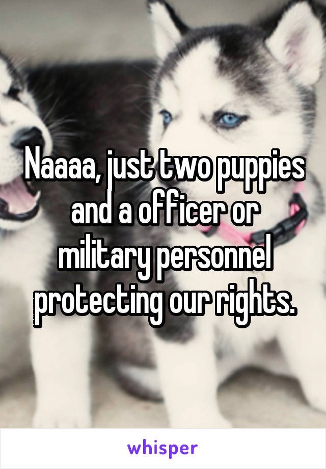 Naaaa, just two puppies and a officer or military personnel protecting our rights.