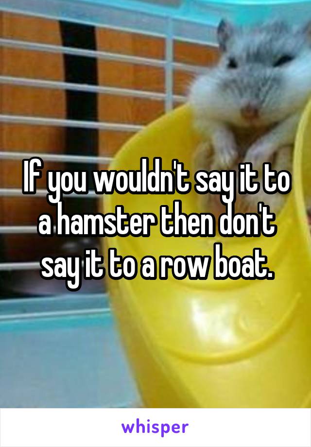 If you wouldn't say it to a hamster then don't say it to a row boat.
