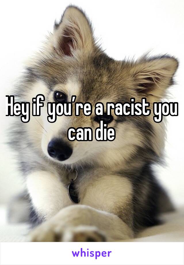 Hey if you’re a racist you can die 
