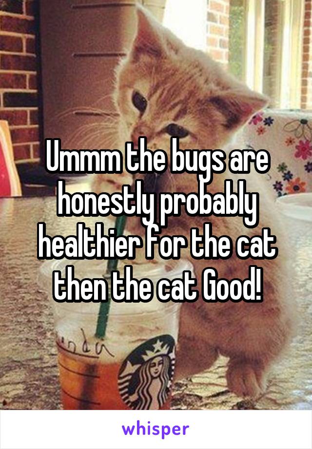 Ummm the bugs are honestly probably healthier for the cat then the cat Good!