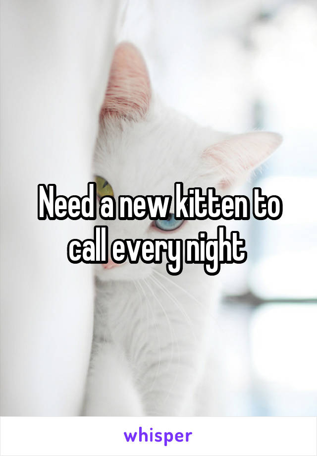 Need a new kitten to call every night 