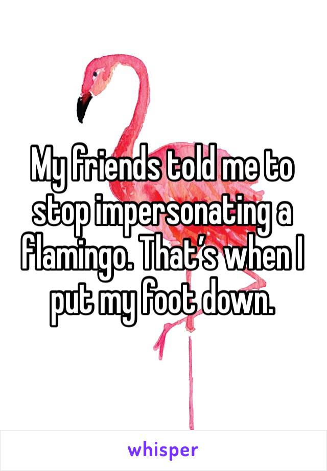My friends told me to stop impersonating a flamingo. That’s when I put my foot down. 