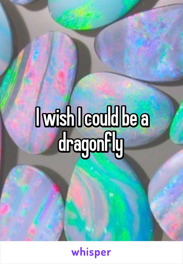 I wish I could be a dragonfly 