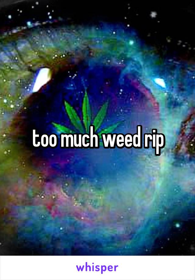 too much weed rip