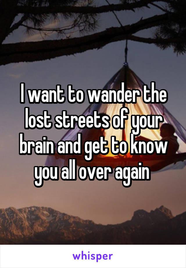 I want to wander the lost streets of your brain and get to know you all over again 