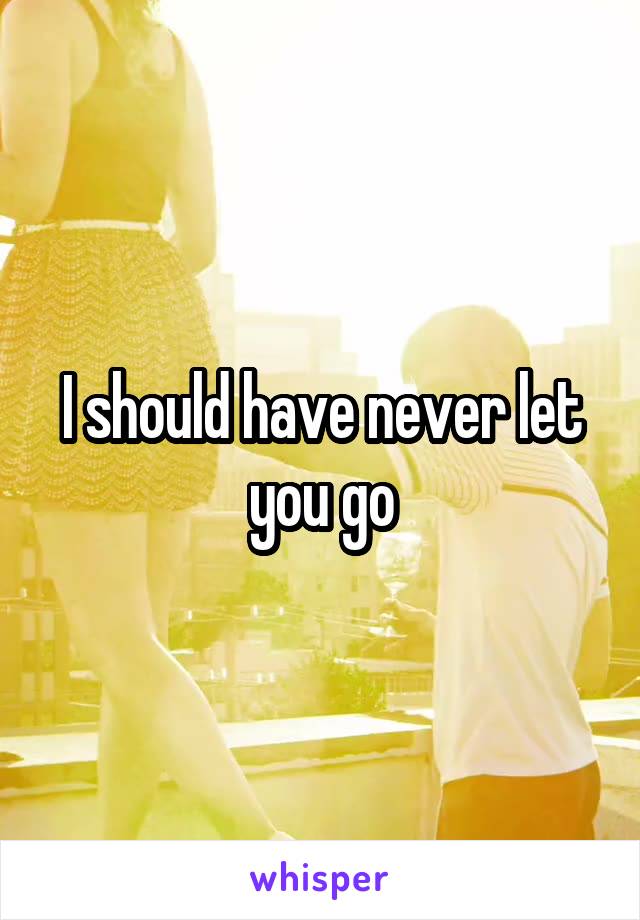 I should have never let you go