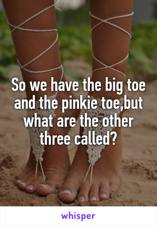 So we have the big toe and the pinkie toe,but what are the other three called?
