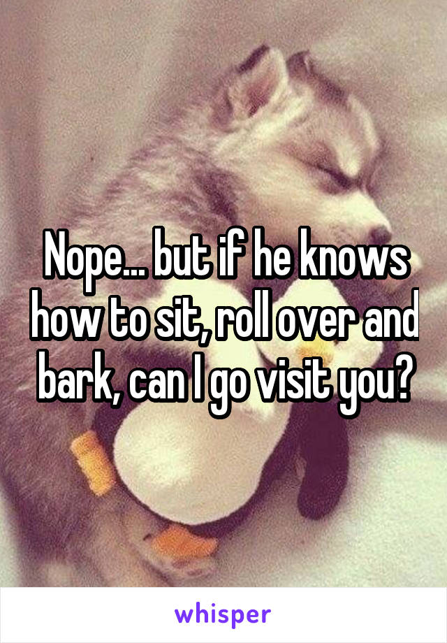 Nope... but if he knows how to sit, roll over and bark, can I go visit you?