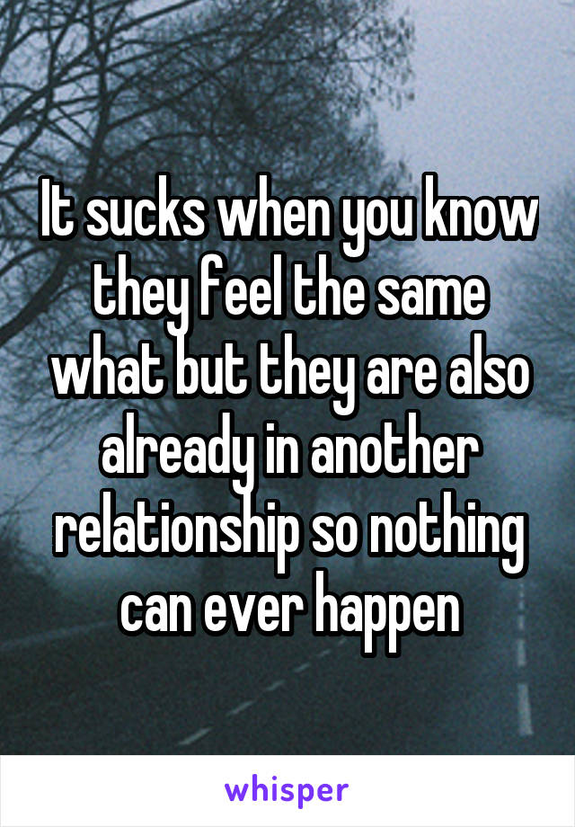 It sucks when you know they feel the same what but they are also already in another relationship so nothing can ever happen