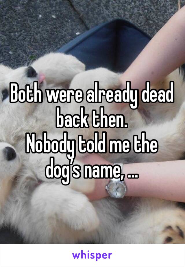Both were already dead back then. 
Nobody told me the dog’s name, ...