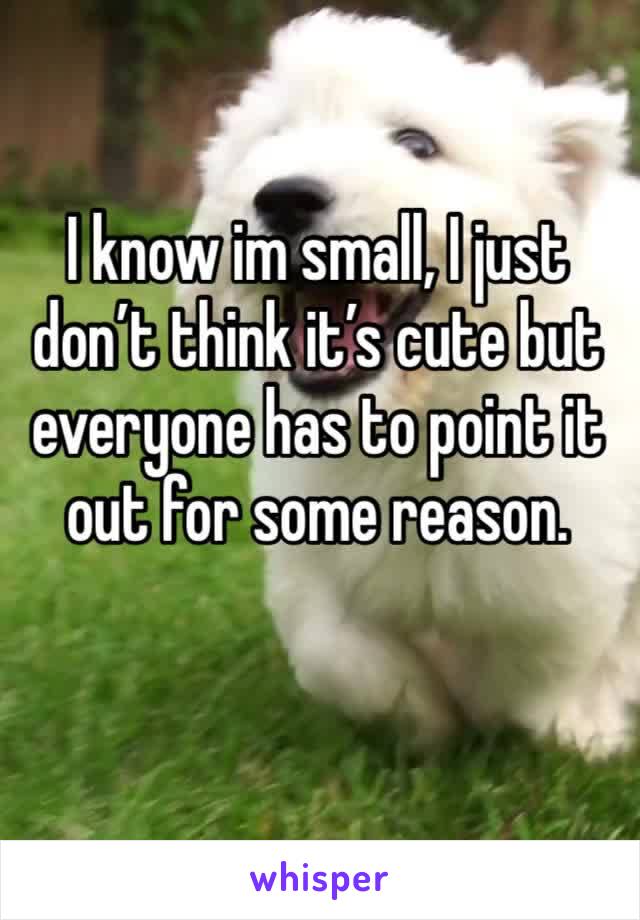 I know im small, I just don’t think it’s cute but everyone has to point it out for some reason. 