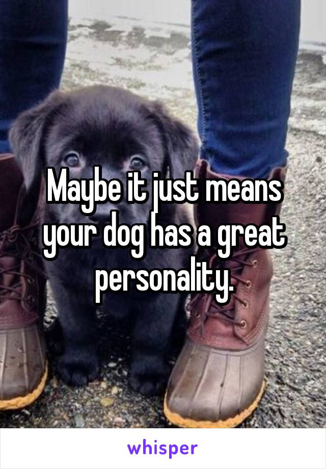Maybe it just means your dog has a great personality.