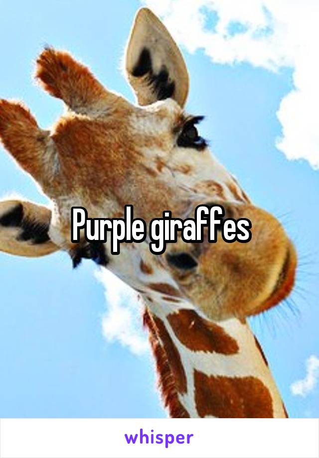 Purple giraffes