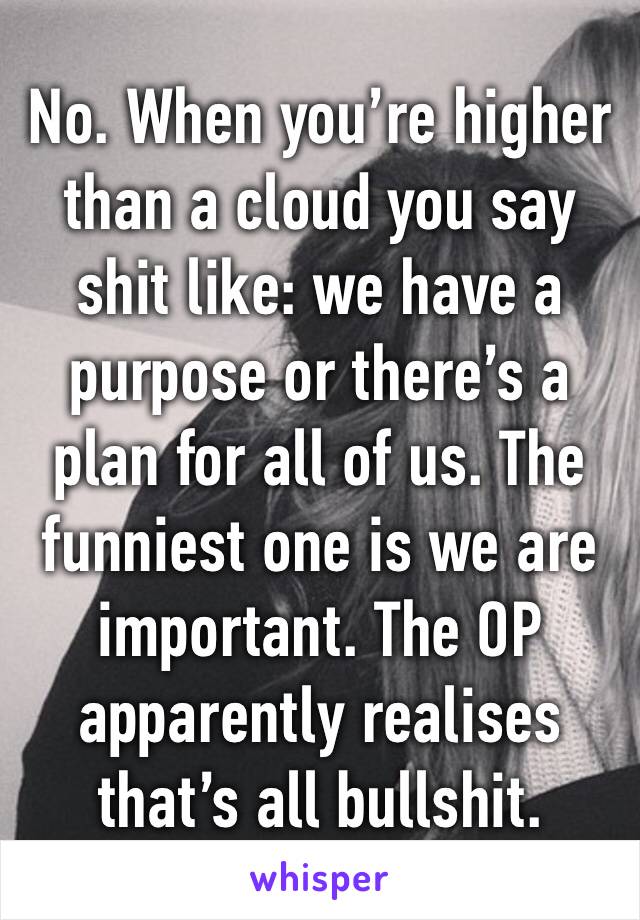 No. When you’re higher than a cloud you say shit like: we have a purpose or there’s a plan for all of us. The funniest one is we are important. The OP apparently realises that’s all bullshit. 