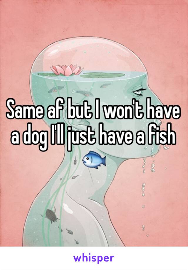Same af but I won't have a dog I'll just have a fish 🐟 