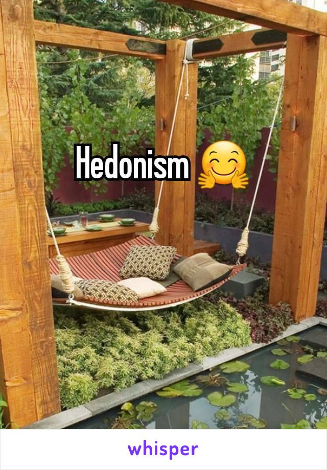 Hedonism 🤗