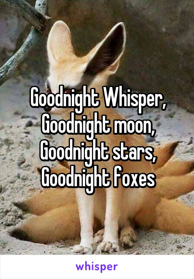 Goodnight Whisper, Goodnight moon, Goodnight stars, Goodnight foxes