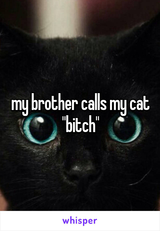 my brother calls my cat "bitch"