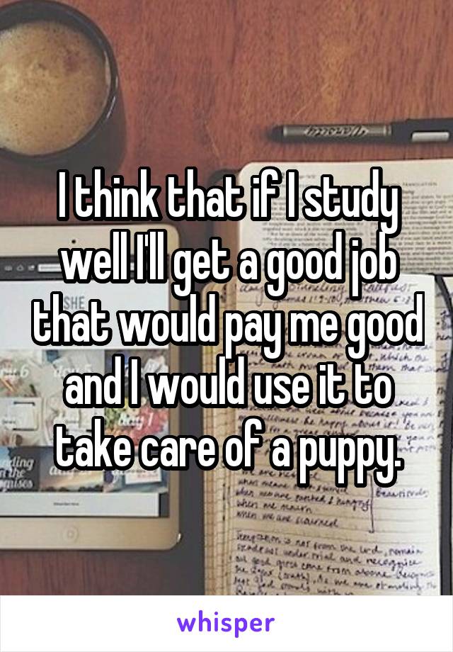 I think that if I study well I'll get a good job that would pay me good and I would use it to take care of a puppy.