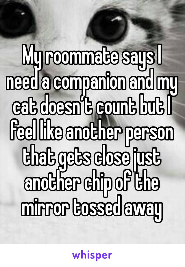 My roommate says I need a companion and my cat doesn’t count but I feel like another person that gets close just another chip of the mirror tossed away