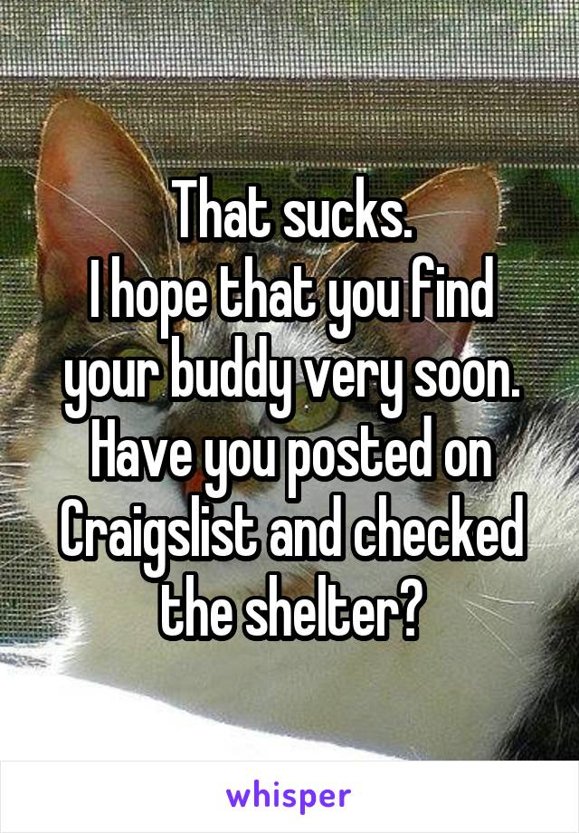 That sucks.
I hope that you find your buddy very soon.
Have you posted on Craigslist and checked the shelter?