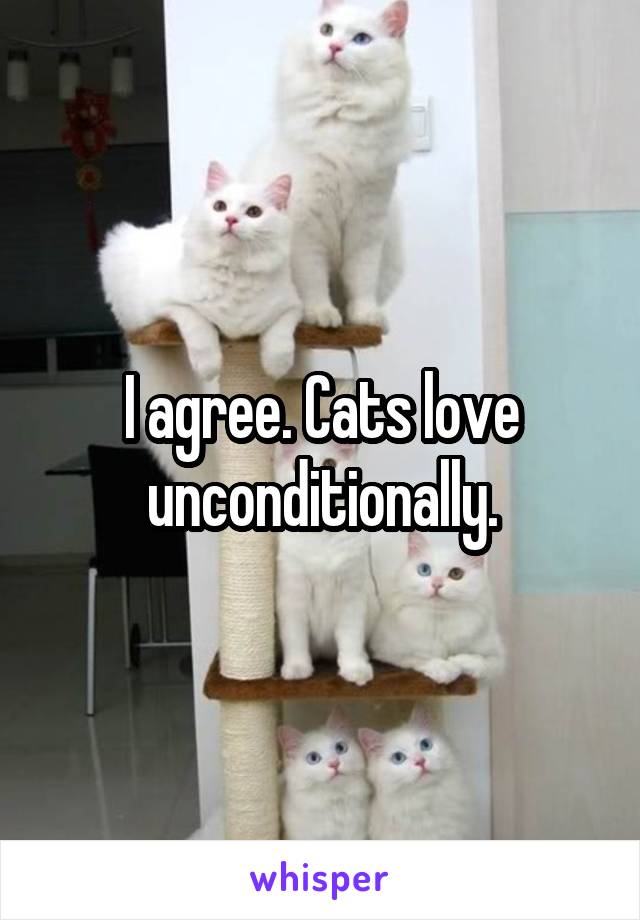 I agree. Cats love unconditionally.