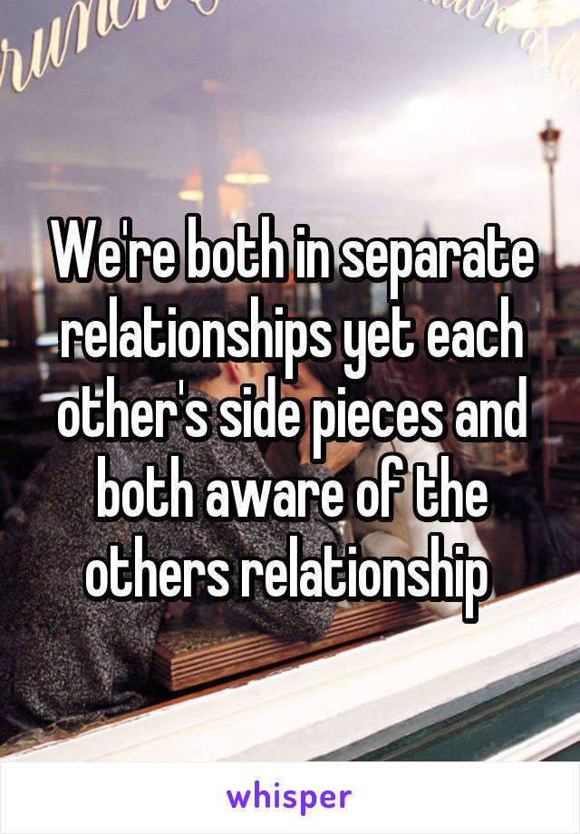 We're both in separate relationships yet each other's side pieces and both aware of the others relationship 