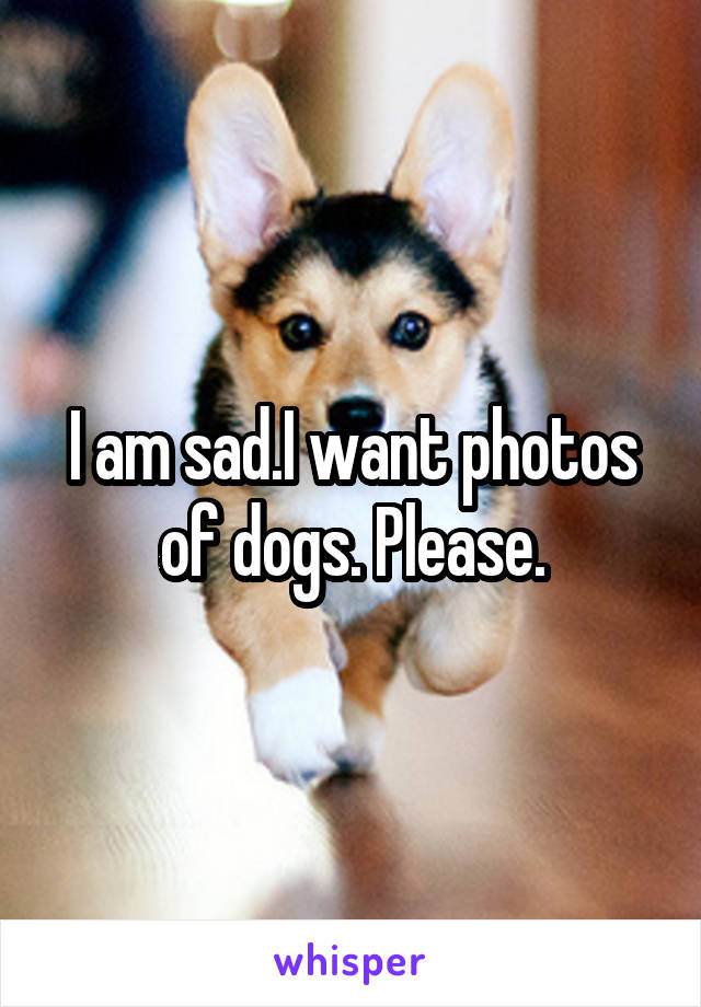 I am sad.I want photos of dogs. Please.