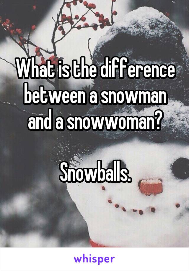 What is the difference between a snowman and a snowwoman?

Snowballs.

