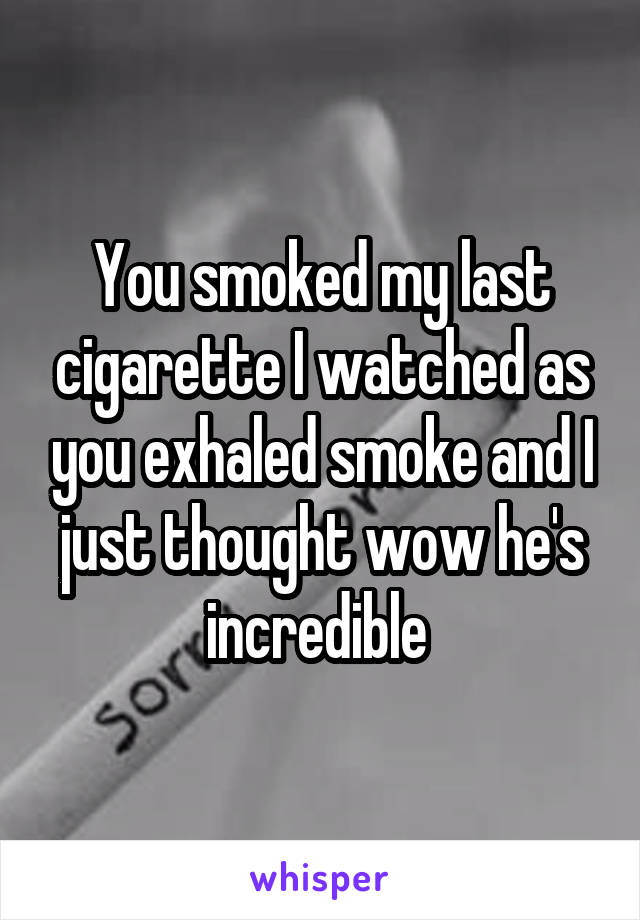 You smoked my last cigarette I watched as you exhaled smoke and I just thought wow he's incredible 
