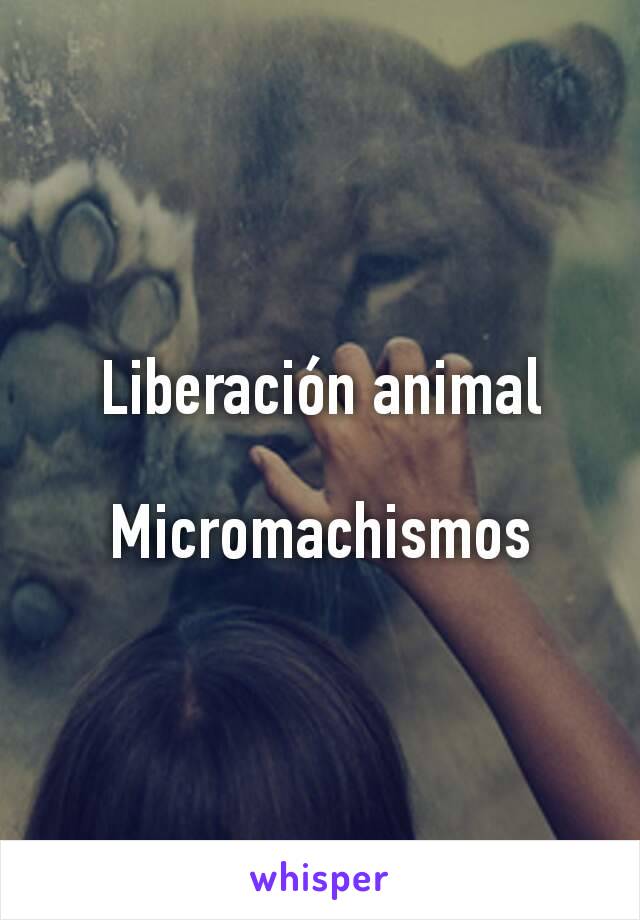 Liberación animal

Micromachismos
