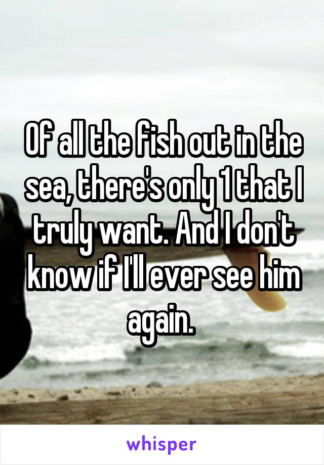 Of all the fish out in the sea, there's only 1 that I truly want. And I don't know if I'll ever see him again. 