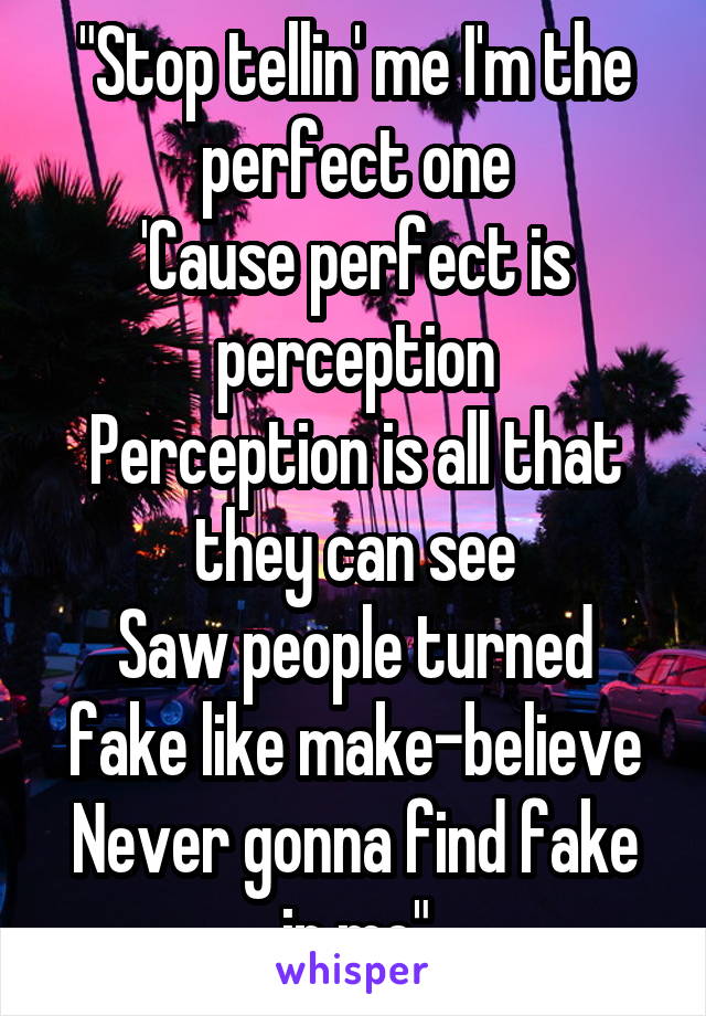 "Stop tellin' me I'm the perfect one
'Cause perfect is perception
Perception is all that they can see
Saw people turned fake like make-believe
Never gonna find fake in me"