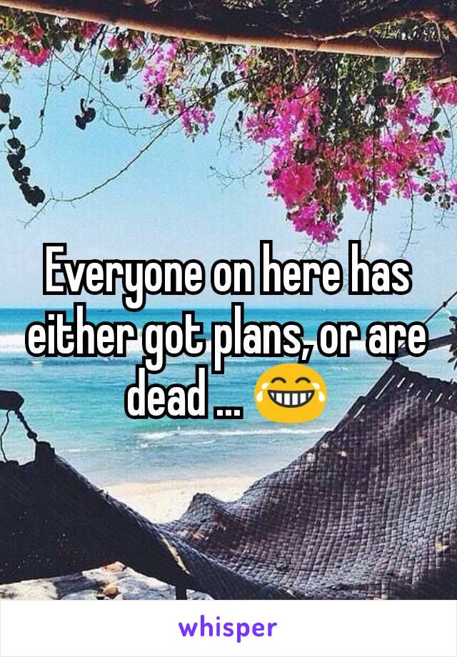 Everyone on here has either got plans, or are dead ... 😂