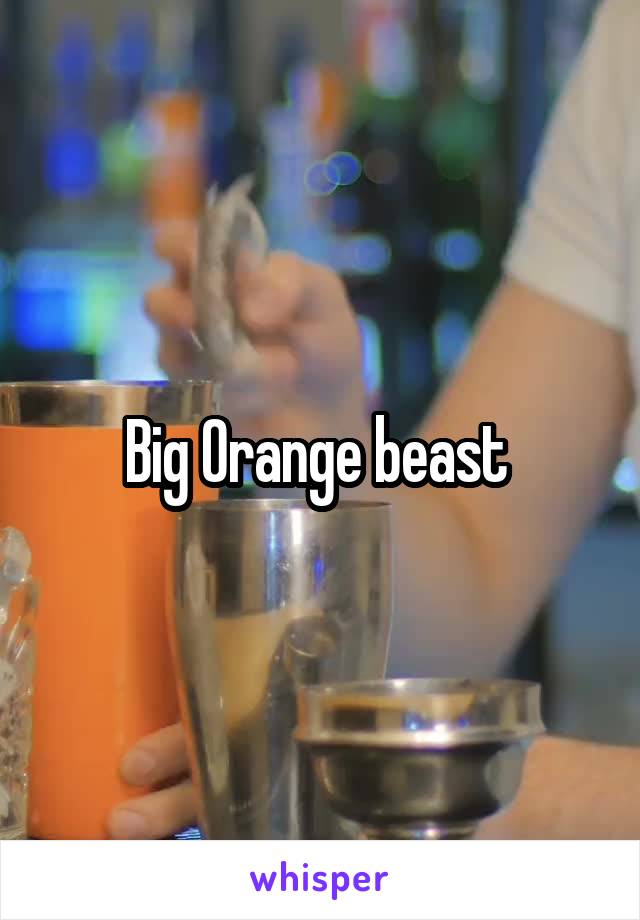 Big Orange beast 