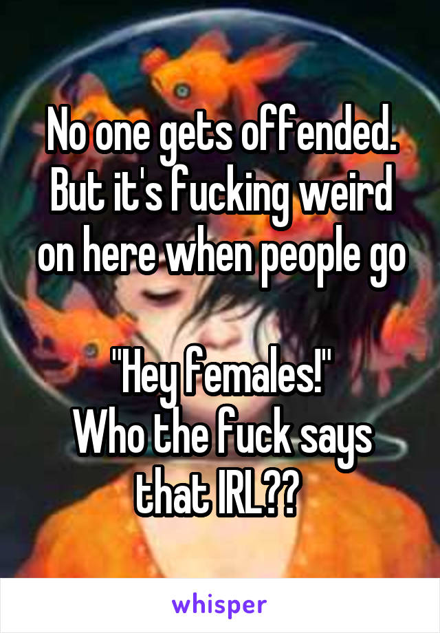No one gets offended.
But it's fucking weird on here when people go

"Hey females!"
Who the fuck says that IRL?? 