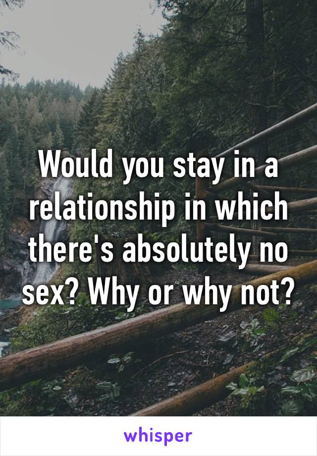 Would you stay in a relationship in which there's absolutely no sех? Why or why not?