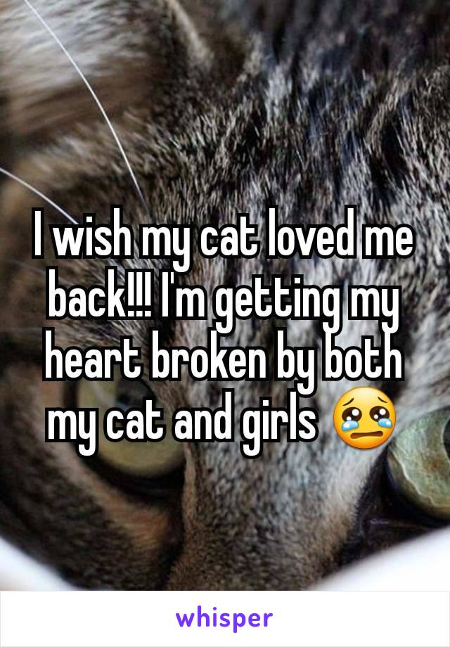I wish my cat loved me back!!! I'm getting my heart broken by both my cat and girls 😢