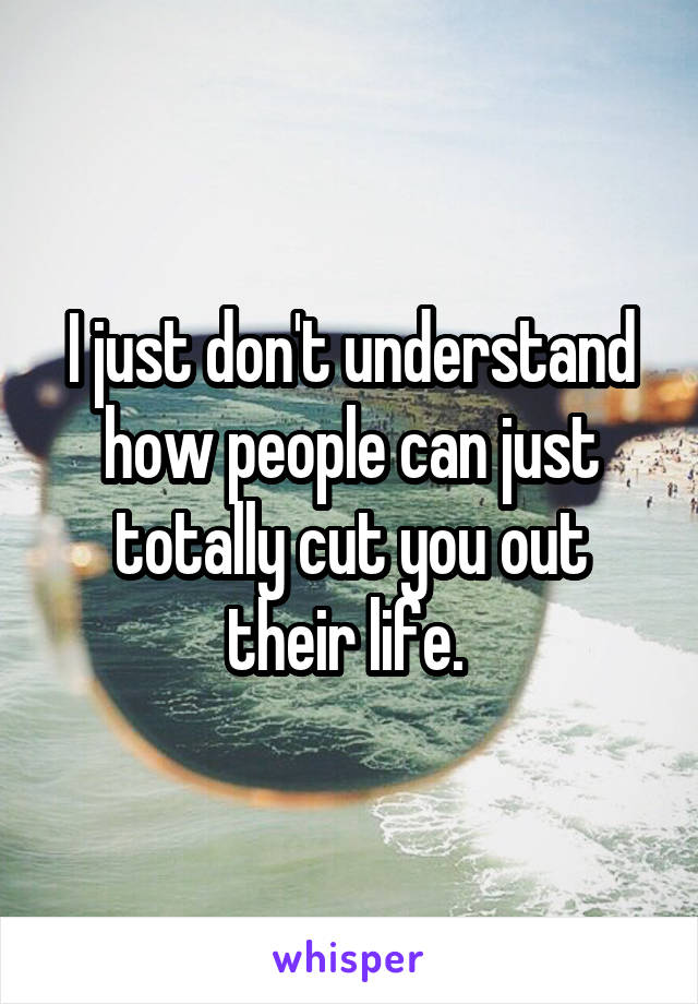 I just don't understand how people can just totally cut you out their life. 