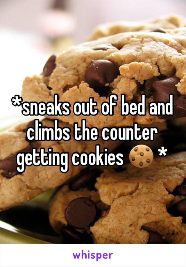 *sneaks out of bed and climbs the counter getting cookies 🍪 *