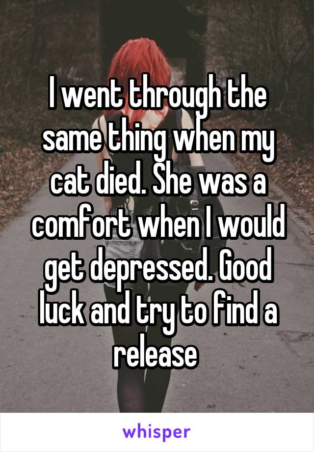 I went through the same thing when my cat died. She was a comfort when I would get depressed. Good luck and try to find a release 