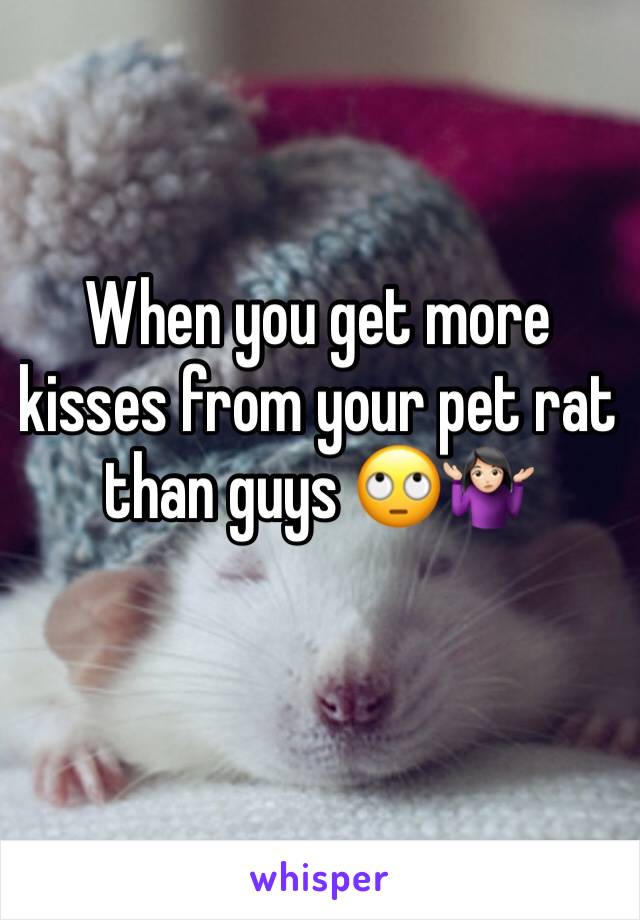 When you get more kisses from your pet rat than guys 🙄🤷🏻‍♀️
