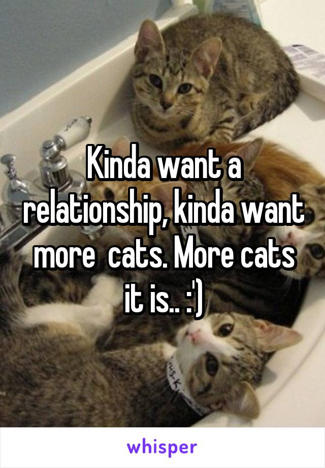 Kinda want a relationship, kinda want more  cats. More cats it is.. :')