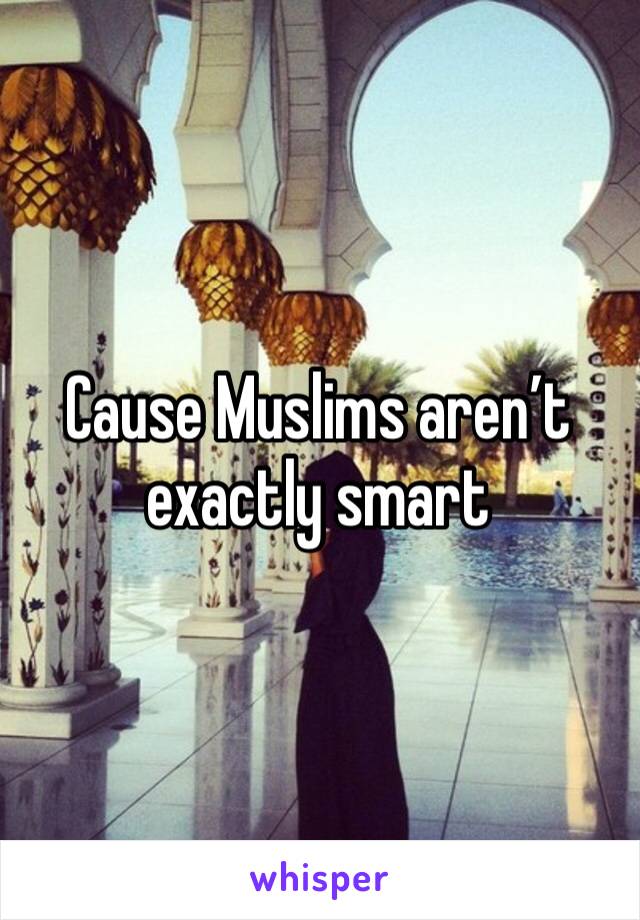 Cause Muslims aren’t exactly smart
