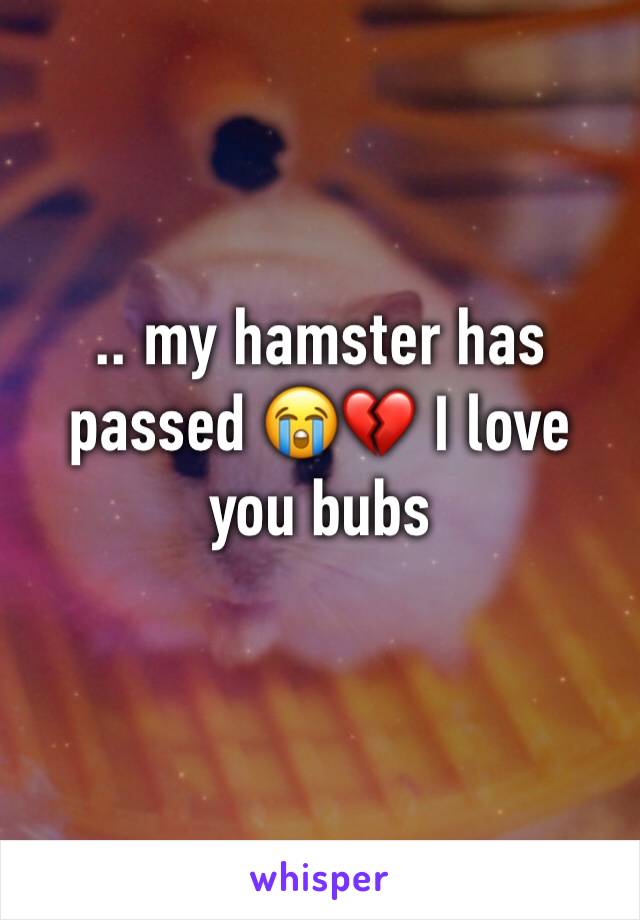 .. my hamster has passed 😭💔 I love you bubs